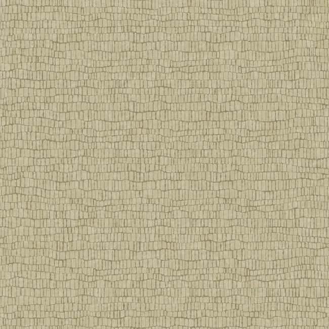 Обои для стен Antonina Vella Natural Opalescence Y6230403