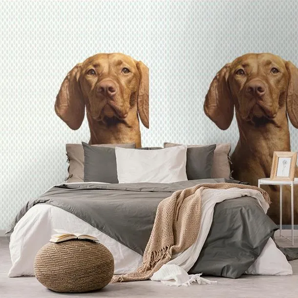 Обои для стен Eijffinger Wallpower Junio 364125 #7