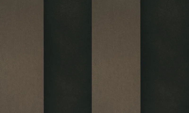 Обои для стен Arte Flamant Les Rayures 18103