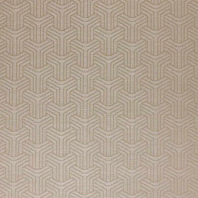 Обои для стен Dedar Twist D14004_005