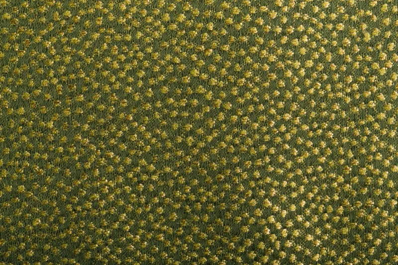 Ткань The Trendsetter Studio Amedeo 1318006Y-16