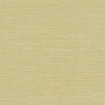 Обои для стен Today Interiors Natural Textures bv30454