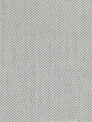 Ткань Bisson Bruneel Curtains Fabrics pole_nord_10035