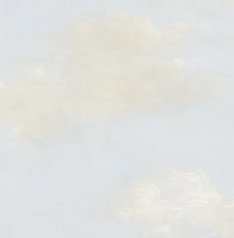 Обои для стен Mayflower by Kt Exclusive Transition MF30907