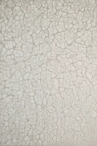 Обои для стен Biden Designs Textured Washi Paper T-07-Foam-Snow