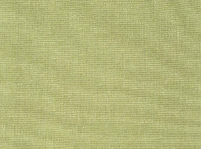 Ткань Alessandro Bini Provenza Collection B011-6