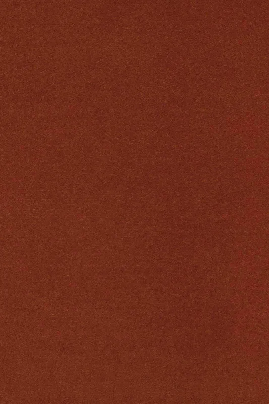 Ткань The Design Archives Archive 1 Wool & Velvet Opera-1016-Rust-4-1