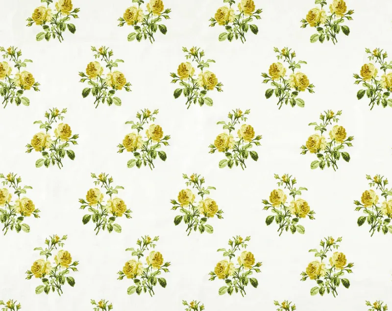 Ткань The Design Archives Spring Garden Chloe1011-Gold-3b