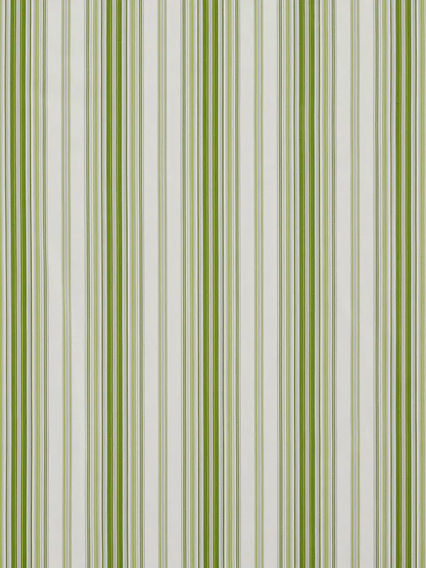 Ткань The Design Archives Spring Garden Garden-Stripe-1008-Celadon-4-1