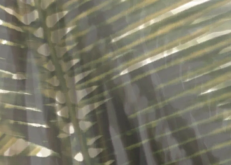 Обои для стен Jannelli & Volpi JV161 Arashi JV-5995