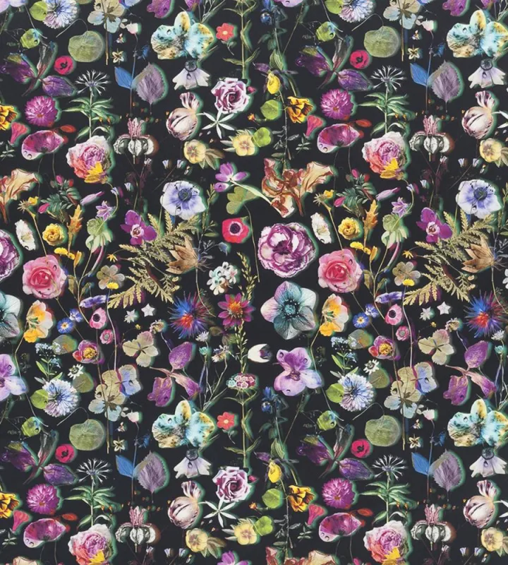 Ткань Christian Lacroix Histoires Naturelles Fabrics FCL7023-01