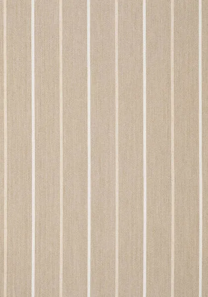 Ткань Anna French Ballad AW2575