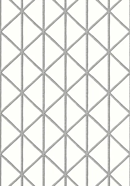 Обои для стен Thibaut Tropics T10134