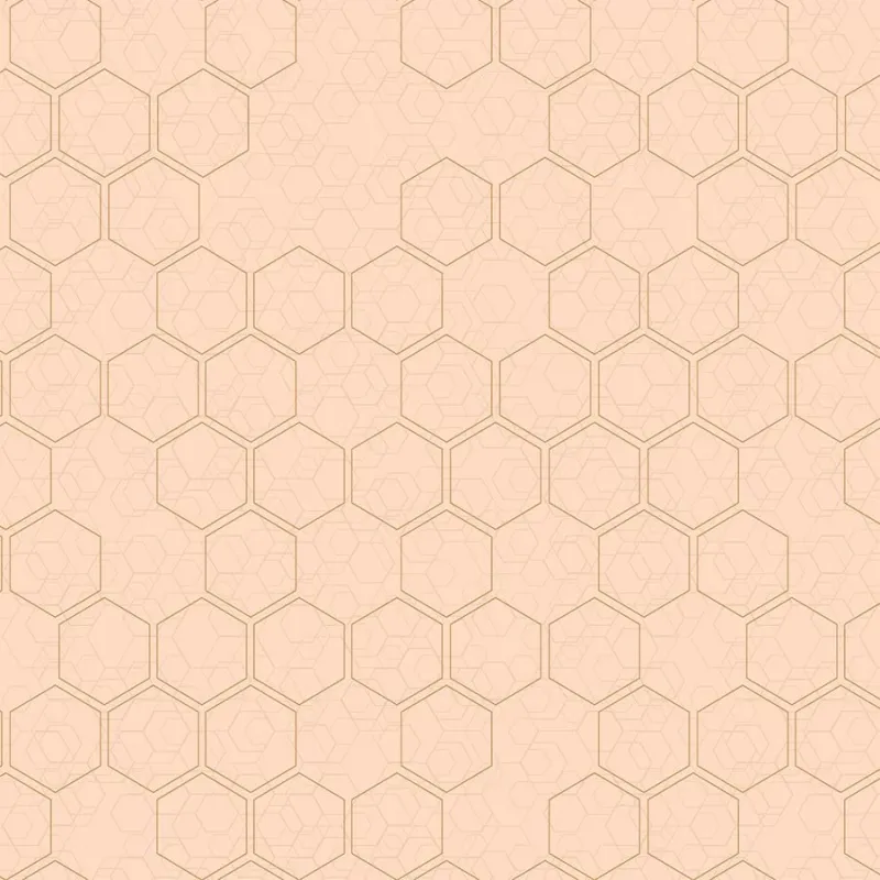 Обои для стен Loymina Liberty LIB1007.1