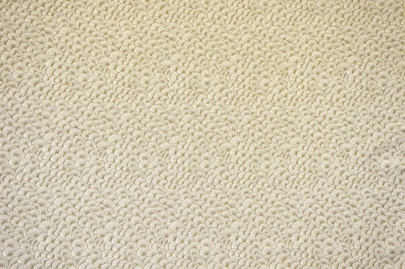 Ткань Casal Nymphea 13457_76_N