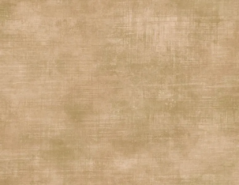 Обои для стен Studio Eight Trinidad TR20804