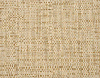 Обои для стен Pierre Frey Rendez Vous FP551003