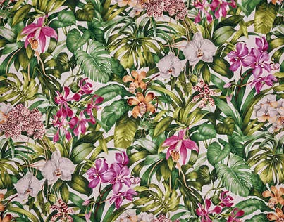 Ткань Pierre Frey Prints and Embroideries F3389001