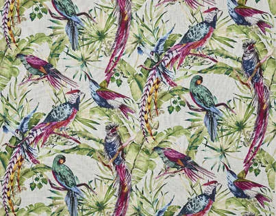 Ткань Pierre Frey Prints and Embroideries F3392001