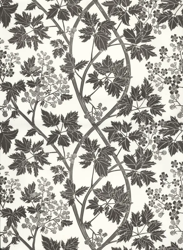 Обои для стен Hamilton Weston The Marthe Armitage wallpapers Blackberry-Black-1