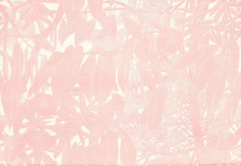 Обои для стен Hamilton Weston The Marthe Armitage wallpapers Pine-Cones-Nancys-Blushes