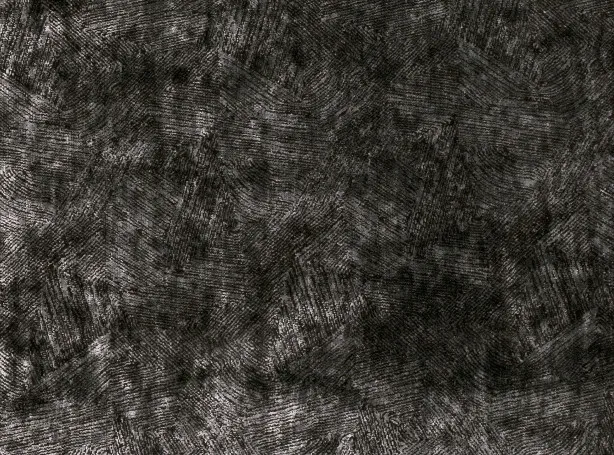 Ткань Black Edition Inachi 9021-02