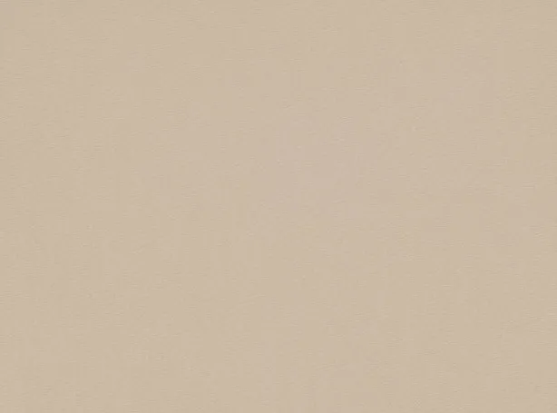 Ткань Zinc Jet Set Z580-03