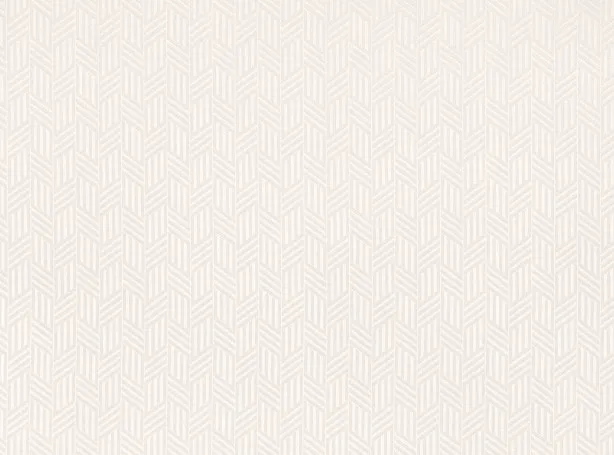 Ткань Zinc Jet Set Z584-01