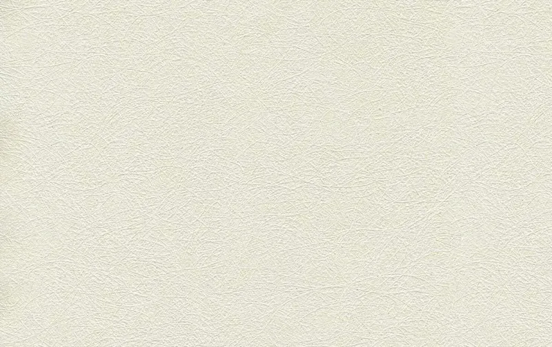 Обои для стен Shinhan Nova 88222-2