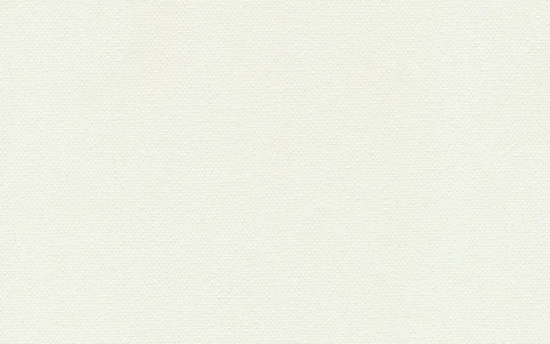 Обои для стен Shinhan Nova 88227-1