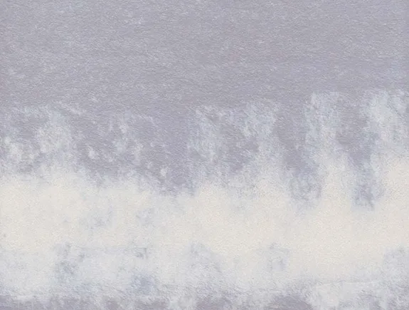 Обои для стен Holly Hunt Assemblage WCA_11-0104