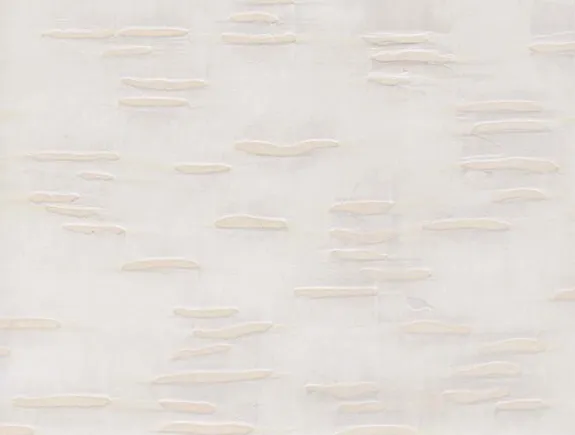 Обои для стен Holly Hunt Assemblage WCA_14-0138