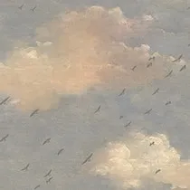 Обои для стен Today Interiors Transition fj30802