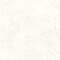 Обои для стен Today Interiors Transition fj31210