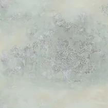 Обои для стен Today Interiors Transition fj31404