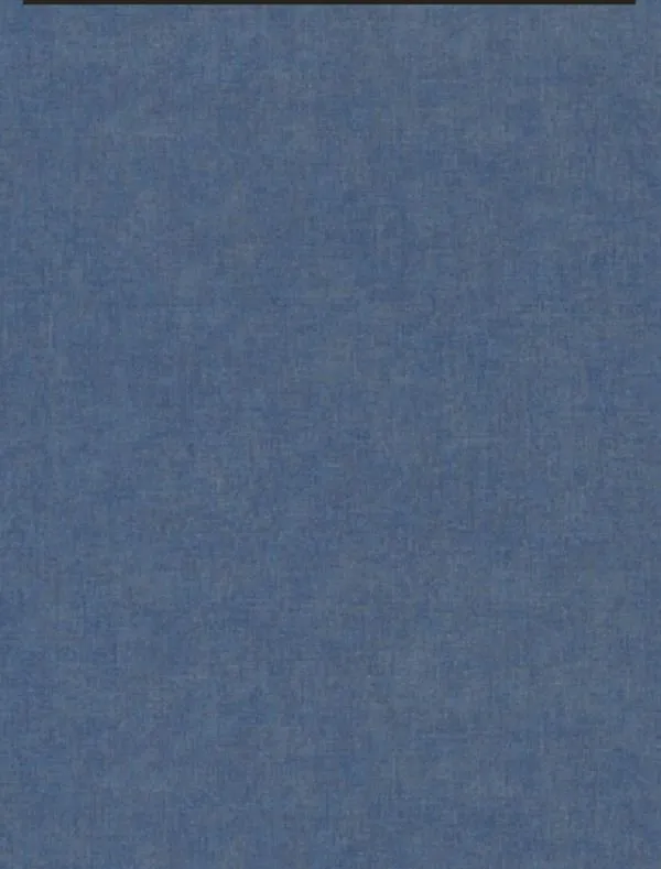 Обои для стен Casadeco Rivage 81926463