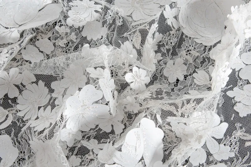 Ткань Jakob Schlaepfer Allover Stickerei 610758_103