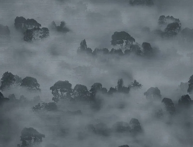 Обои для стен Jim Thompson Atmosphere JT021048001