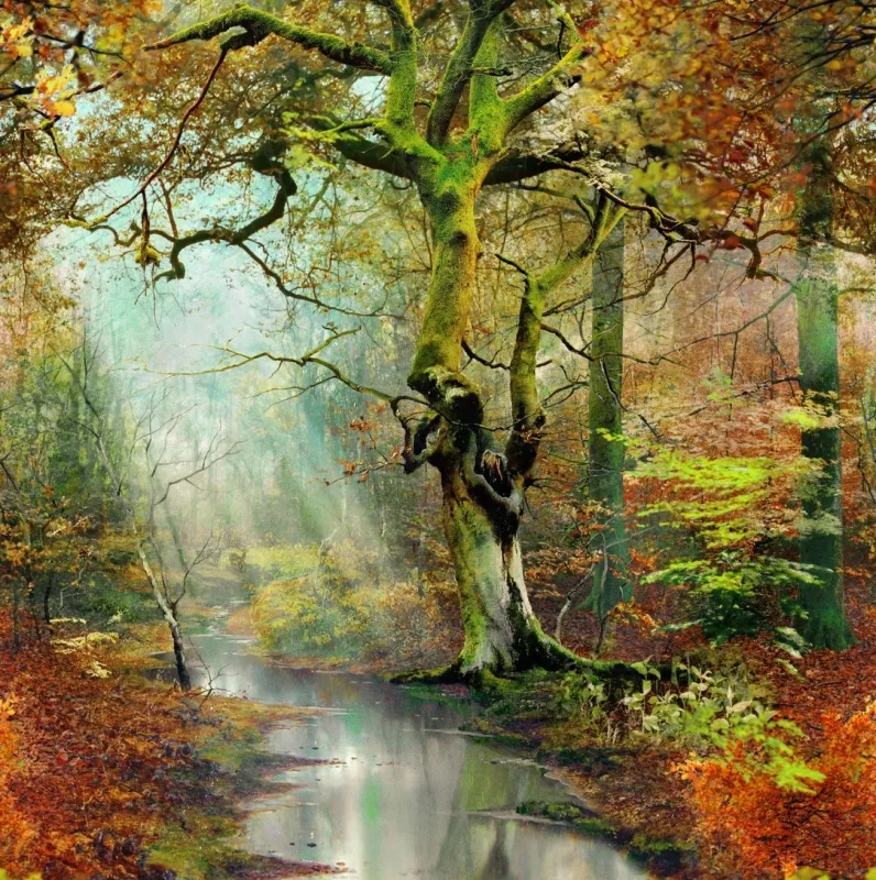 Обои для стен Jean Paul Gaultier Pop Rock 3337-01