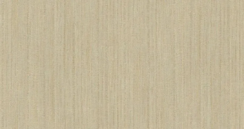 Обои для стен Sirpi Primus Reloaded 50004