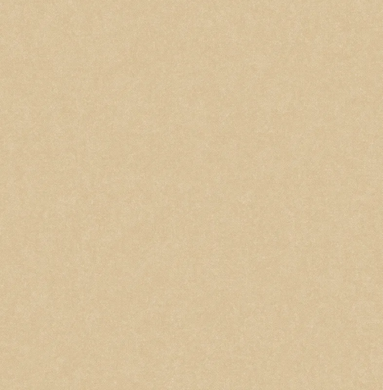 Обои для стен The Trendsetter Studio Roy RY1012