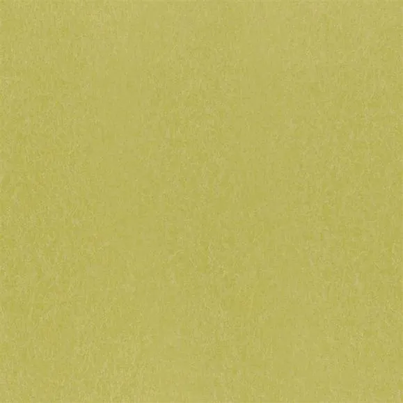 Обои для стен Designers Guild Plain & Textured Wallpaper Volume II P502-69