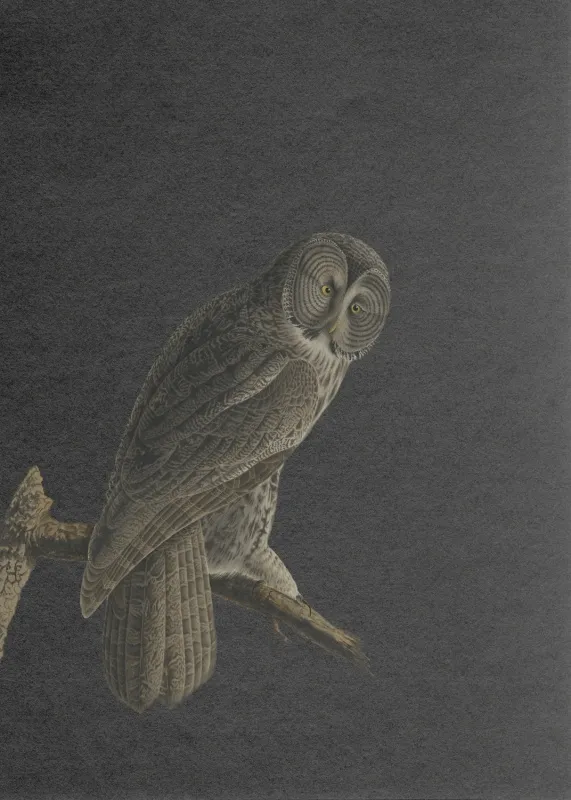 Обои для стен Hygge Wall Hygge Wall #1 H10191