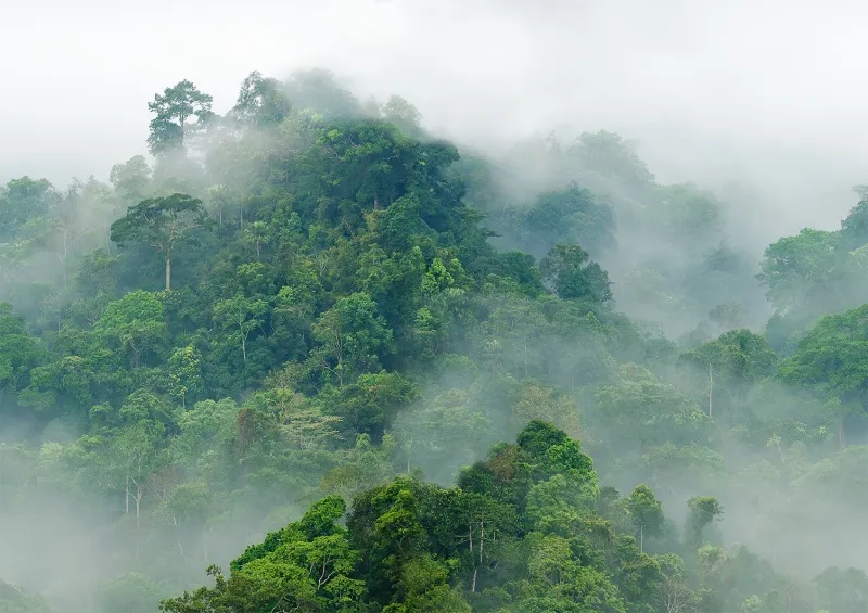 Обои для стен Hygge Wall Hygge Wall #3 H10901