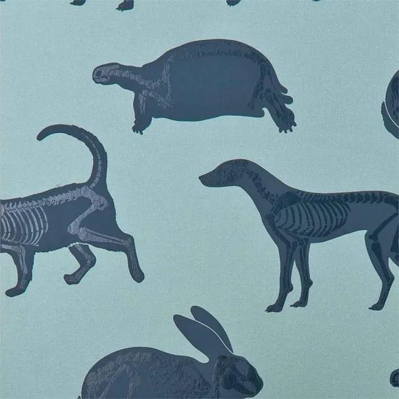 Обои для стен PaperBoy Our Wallpaper Animal Magic Wp Bl