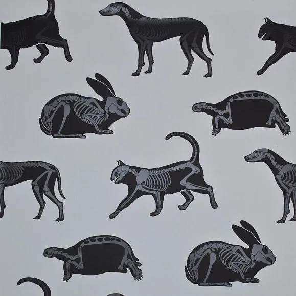 Обои для стен PaperBoy Our Wallpaper Animal Magic Wp Gr