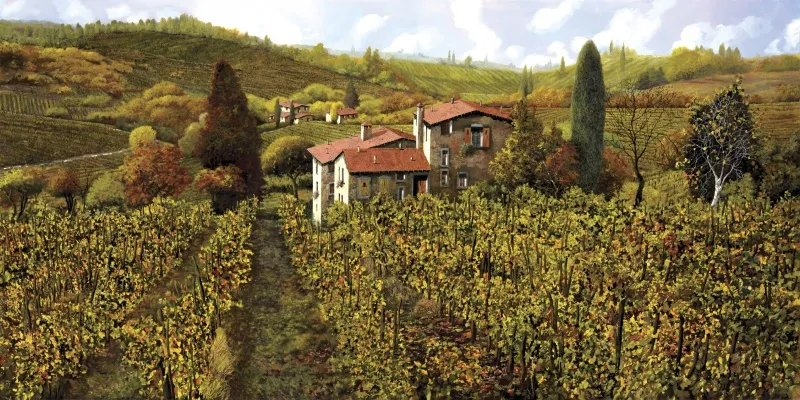 Обои для стен Ortograf Гвидо Борелли OR 11677