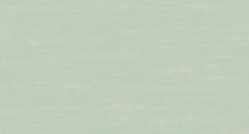 Обои для стен Loymina Amazonia INS8006