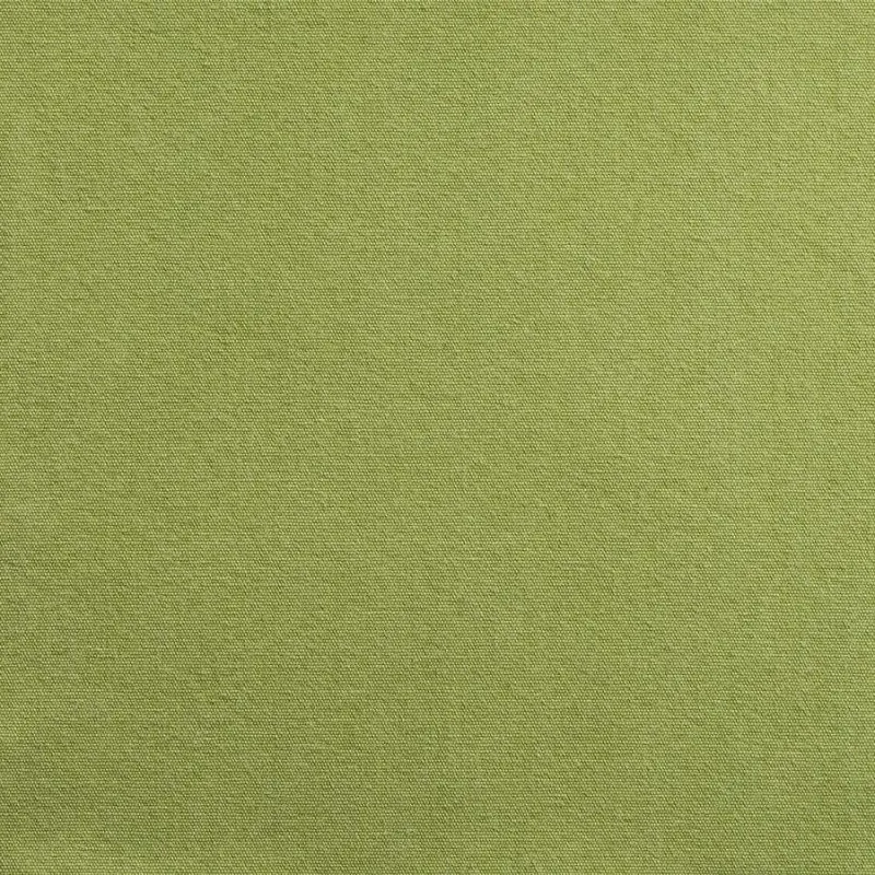 Ткань Antoine d'Albiousse Toile de Cocher toile-de-cocher-anis