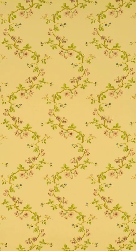 Обои для стен Pierre Frey Dessins Signatures fp168002